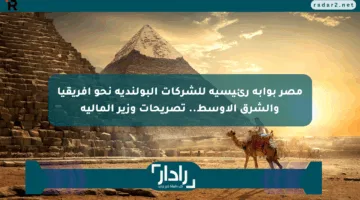 مصر بوابة رئيسية للشركات البولندية نحو أفريقيا والشرق الأوسط.. تصريحات وزير المالية